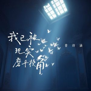 我已被现实磨平棱角