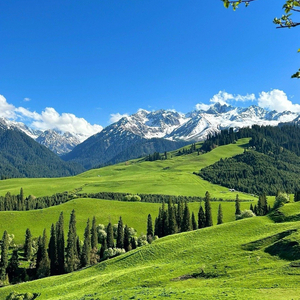 奔波儿霸的精神胜利法#百万奖金AI创作大赛主题四