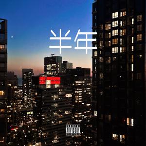半年