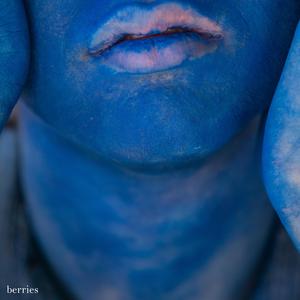 berries (feat. Liz Vay)