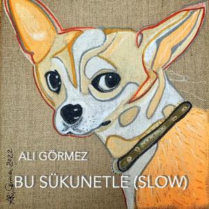 Bu Sükunetle ((Slow Version) )