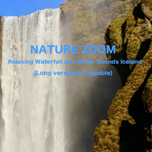 Waterfall Seljalandfoss Iceland (Long Version Loopable)