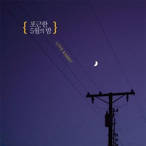 포근한 5월의 밤