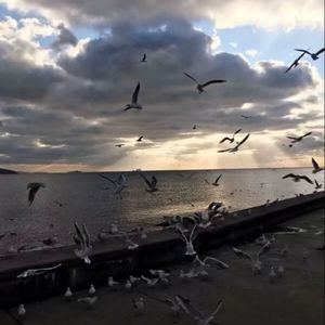 yuraktiki  soz（翻自 YY.）