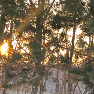 WWB（prod by shadow Beats）