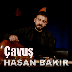 Çavuş
