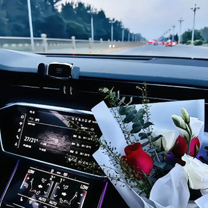 BirseniSoygan纯赏版