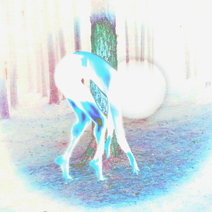 미안, 넌 자격 없어!