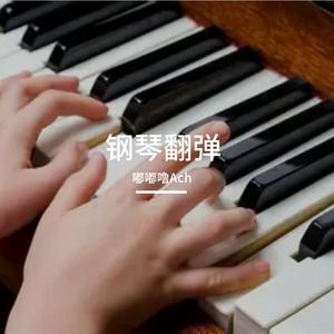 再会米法 钢琴翻弹