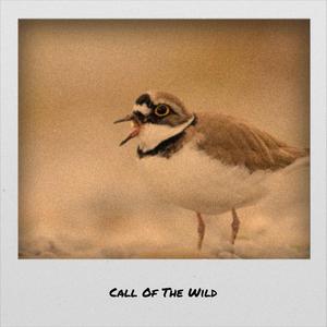 Dixie, There's No Place Like Home