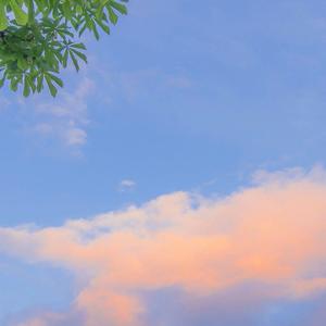 超级好听的（店铺放松BGM）