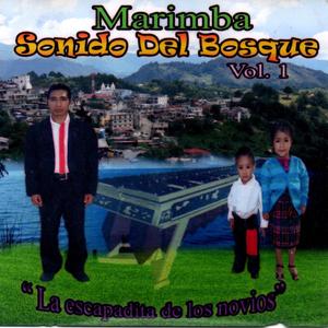 Gracias por enseñarme