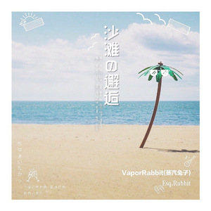 沙滩的邂逅