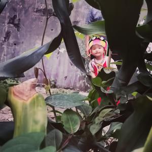 夜里的布谷（prod by.Mk）