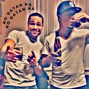 NO GATAN NA (feat. Feliboy)