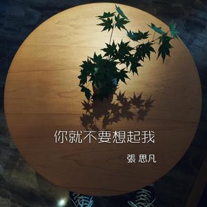 你就不要想起我（吉他弹唱）