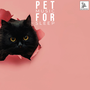 Cat Fall Asleep Piano