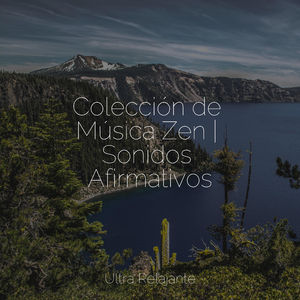 Hamaca En Los Árboles