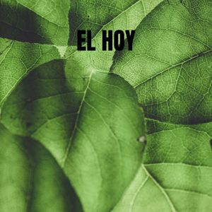 EL HOY
