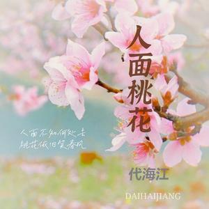 人面桃花（吉他版）