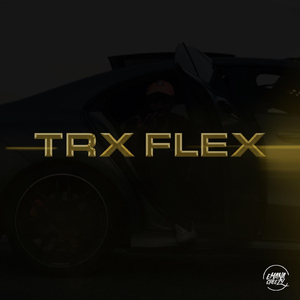 Trx Flex