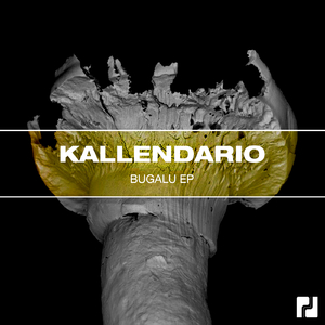 Bugalu (Original Mix)