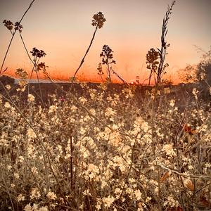 nowadayz (feat. j6shsolo)