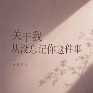关于我从没忘记你这件事