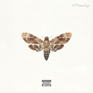 Northern Lights (feat. flasstain)