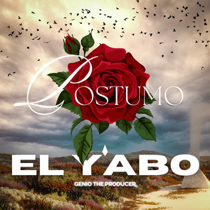 Vampiros en Mar Azul