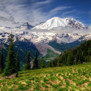 你都是我的依靠