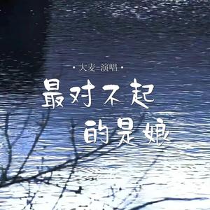 最对不起的是娘