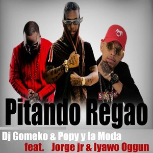 Pitando Regao (Remix)