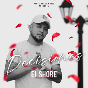 Decisiones