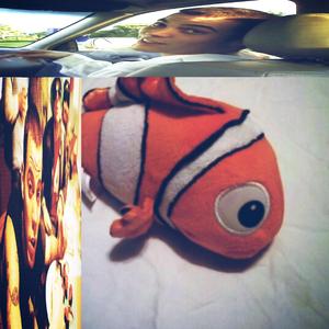 nemo