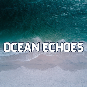 Oceanic Odyssey: A Journey Through the Sounds of the Ocean, From the Shallow Shore to the Deep Depths