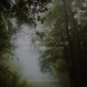 Sea's Melodic Slumber Song