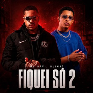 Fiquei Só 2