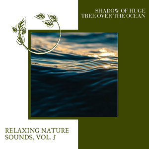 Love for Midnight Mist