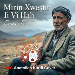 Mirin Xweştir Ji Vî Halî