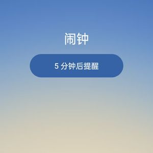 独家记忆