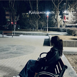 Қайдажок жок // Stereo Love
