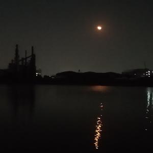 你怎么会舍得放弃