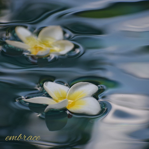 embrace