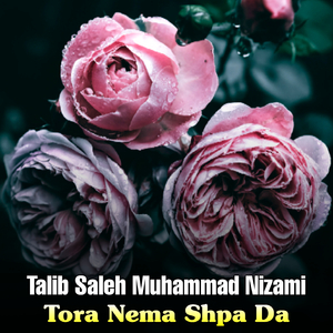 Sta Wa Istiqbal Ta Janati Wore Singar Kawe