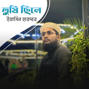 তুমি ছিলে