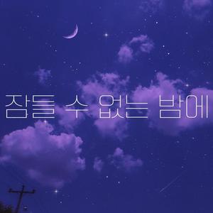 잠들 수 없는 밤에 (Vocal by COLORMAN)