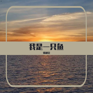 我是一只鱼