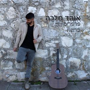 פרפרים ברשת