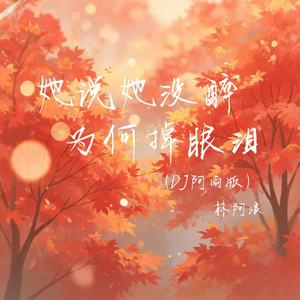 她说她没醉为何掉眼泪(DJ阿雨版)